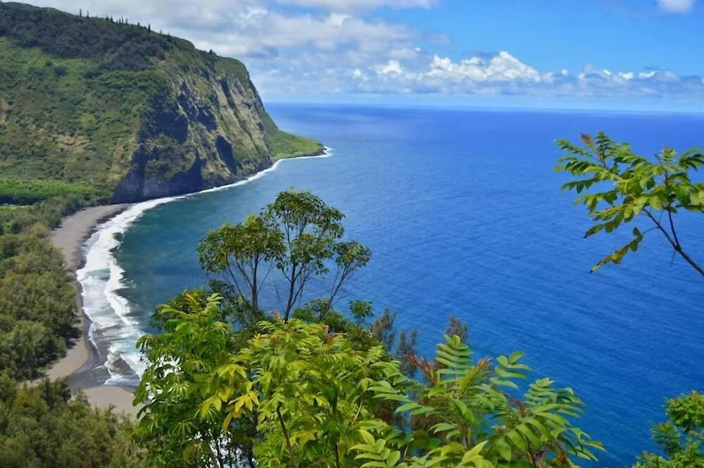 True And Absolute Oceanfront Condo Breathtaking Views From The Lanai - Hale Kona Kai 402 By Casago Kona カイルア・コナ 0*,  米国