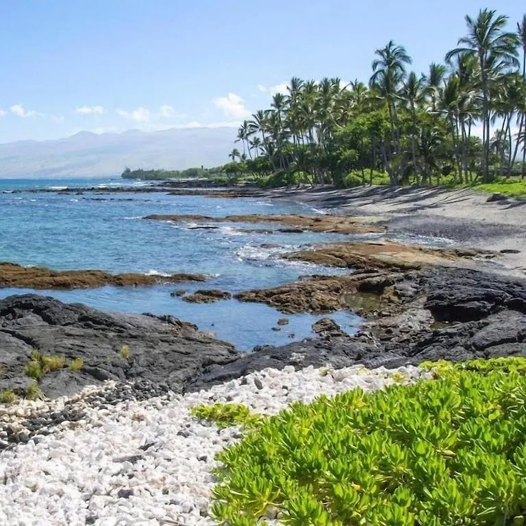 True And Absolute Oceanfront Condo Breathtaking Views From The Lanai - Hale Kona Kai 402 By Casago Kona カイルア・コナ 0*,