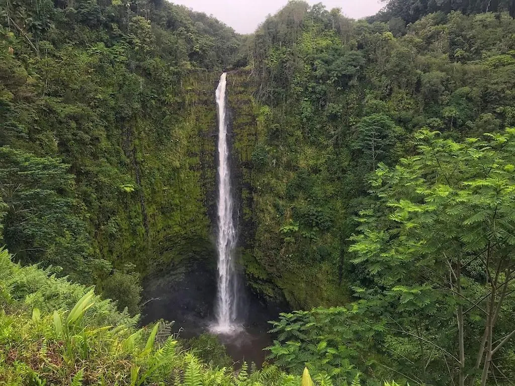 True And Absolute Oceanfront Condo Breathtaking Views From The Lanai - Hale Kona Kai 402 By Casago Kona联系方式